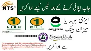 How to Pay NTS Payment | How to Pay 1 Link Bill Invoice Via Meezan Bank or Easyapaisa #nts