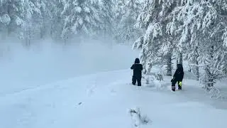 Arctic Lapland Rally 2026