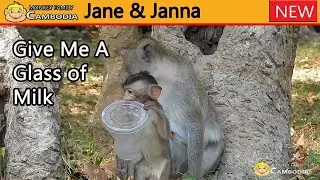 Reasonable ?? Poor Janna Get Plenty Of Milk While Janet Away. Janet Drink Most Of The Milk.