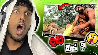 දඩ මස්  සුප් එක | AllanoR react to @Veddaa
