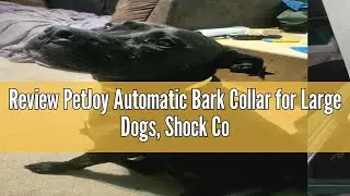 Review PetJoy Automatic Bark Collar for Large Dogs, Shock Collar with Remote and Auto Modes, Dog Sho