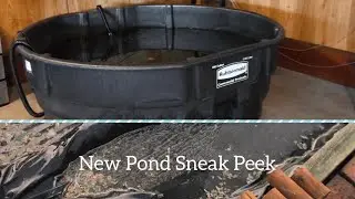 Spring Stock Tank Update + New Pond Sneak Peek!