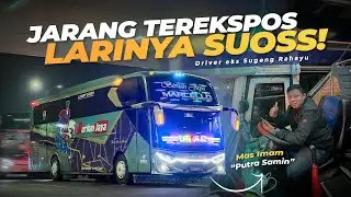 “TARIF MURAH, CEPAT SAMPE” IDOLA JALUR PURWODADI !! 🔥 Trip Berlian Jaya “Marcello” 