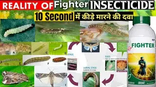 Fighter insecticide| GSP Fighter insecticide|Methoxyfenozide 18% + Emamectin 1.8% SC|top insecticide