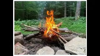 Allegheny National Forest- Dispersed Camping