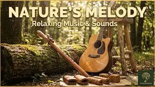 Relaxing Native American Flute Music for Stress Relief