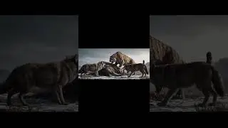 Saber-Toothed Tiger (Smilodon)