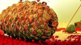 Cuộc chiến của loài kiến 
