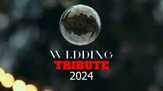 Всё и сразу // WEDDING TRIBUTE 2024 // Свадебный видеограф СПб МСК