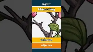🇬🇧🇷🇴 blossoming - &icirc;nflorire : learn English : să &icirc;nvățăm engleza : vocabulary builder