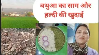 🌹आज बथुआ का साग और हल्दी की खुदाई🌹#housewifelife#sbvlog2824 
