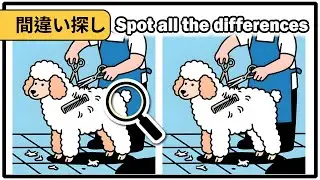 Your 90-Second Brain Boost: Spot the Mistake & Sharpen Your Mind! |  find the difference!