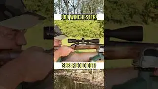 Слишком опасно?! Тест баллистического геля для самообороны 308 Winchester Speer Gold Dot.