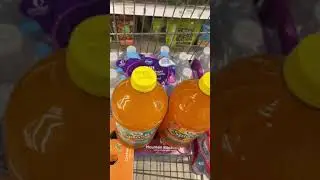 Monthly EBT grocery Haul