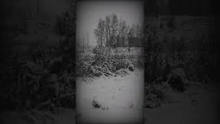 Video Guru 20251208 180707989 #blackmetal #snow #metal #forestsnow