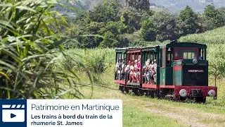 Découvrez l'histoire insolite des trains en Martinique à bord du train de la rhumerie St. James