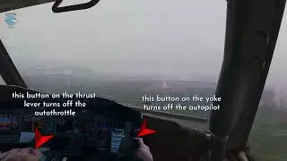 Rainy Mountain Landing Boeing 737 4K #avgeek #aviation #flying