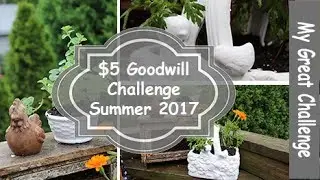 $5 Goodwill Challenge || Summer 2017 ||
