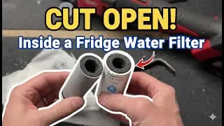 What is inside a refrigerator water filter after six months?