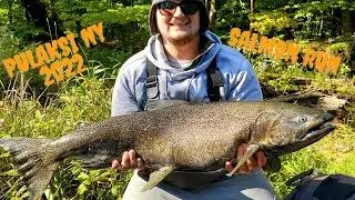 SALMON FISHING ON WORLD FAMOUS SALMON RIVER PULASKI NY 2022