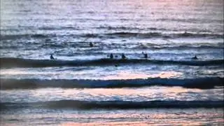2BEACHBOYS/JAN&DEAN, Esque songs.