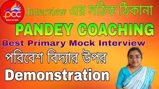 Primary TET Mock Interview