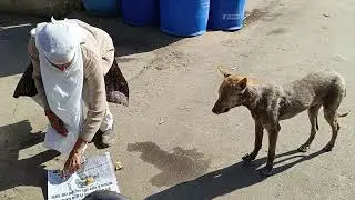 Skin effected बच्ची को मेडिसिन दिया mob 7999679370