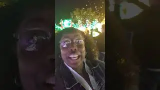 Glowfari Zoo Lights with Angel & Girls