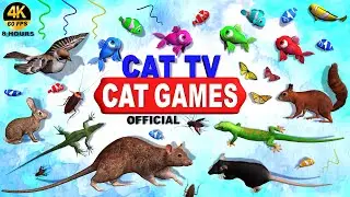 CAT GAMES COMPILATION | CAT TV ULTIMATE ENTERTAINMENT FOR FELINE FRIENDS | VIDEOS FOR CATS 4K 60 FPS