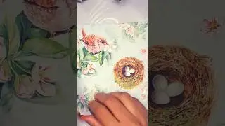 paper ASMR bird nest 🪹 🪺 😌 @IvoryASMR-s