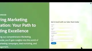 AI Chatbot Solutions  - Adobe Dynamic Chat
