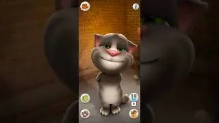 Talking Tom Cat Eat Sandwich #8451 #shorts