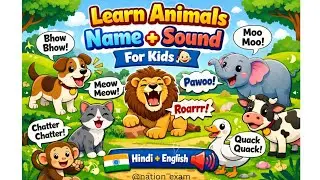 Animals Name in Hindi and English with Sound 🐶🐱 | Kids Learning Video @Nation_Exam 