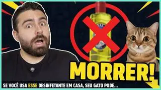 Se Você Usa ESSE Desinfetante Em Casa, Seu Gato Pode MORRER!