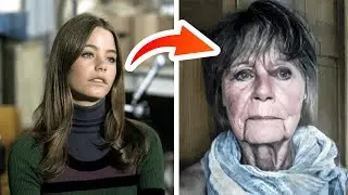 The Partridge Family (1970 vs. 2023) Cast: Then and Now - Remarkable Transformations Over Time