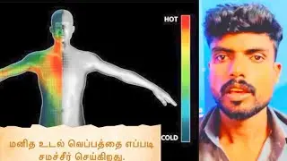 மனித உடல் வெப்பத்தை எப்படி ஈடு செய்கிறது 