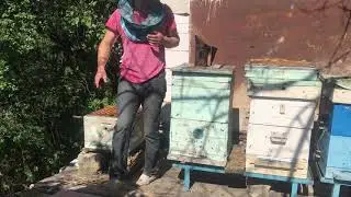 Артек Подсадили мамулю09.07.2020