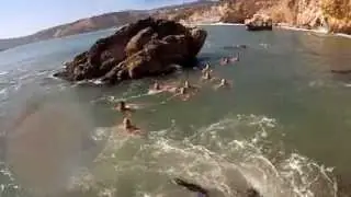 Cal Poly Swim Team