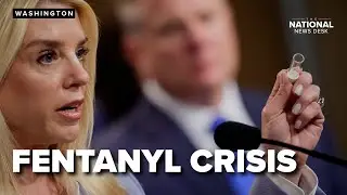 Fact Check Team: Is the fentanyl crisis slowing down?