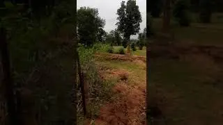 #Save Nature#