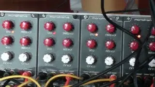 MONOTRON-e  4 VOICE with  custom knobs from erthenvar