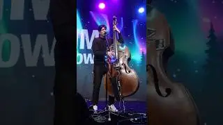 Meet DataBass #bassistsofyoutube #uprightbass
