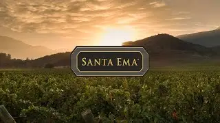 Conoce Vi&ntilde;a Santa Ema | Direct Wines