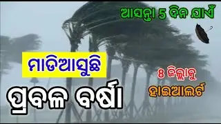 Odisha panipaga update, odisha laghuchap update, odisha cyclone breaking news, odisha weather update