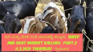 #agrianimals the sheep and goat fair market kalluru gubbi taluk tumakuru district part 2