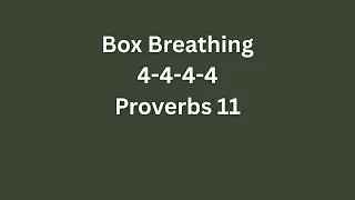 Proverbs 11 Box Breathing Bible Meditation with Rain Background Noise