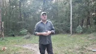 palombe.org - Strat&eacute;gie de positionnement d'appeaux