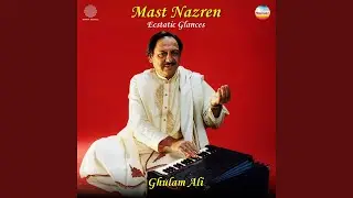 Ghazal - Koi Hamnafas Nahin Hai Joi Raazdaan Nahin Hai (with Sultan Khan)