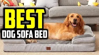 ☑️ Top 5 Best Dog Sofa Bed of 2025 : Who wins in 2025 ?..😍✨