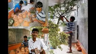 Budgies Parrot Breeding Colony Interior Setup Tips / Budgies Colony Breeding Box Matki Setup Tips.